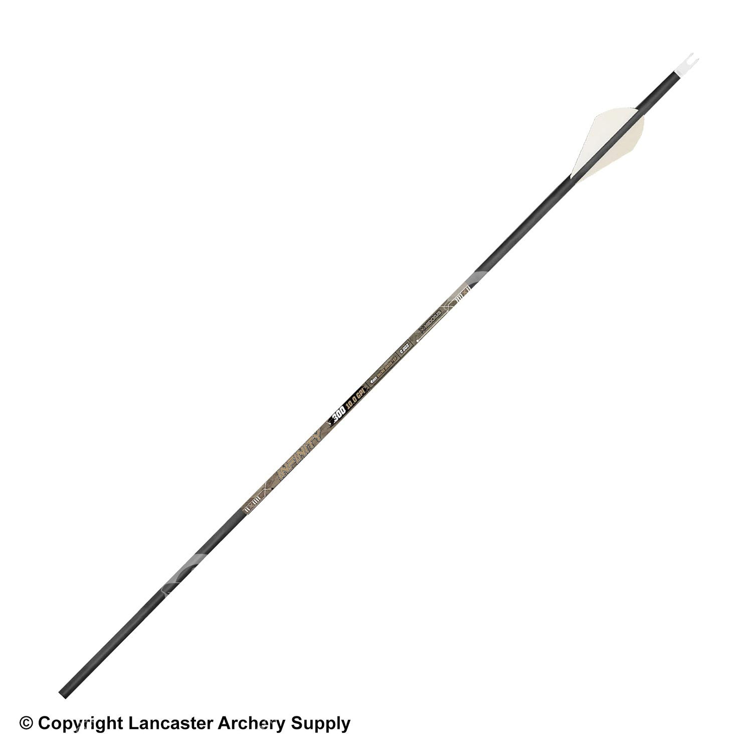 5010010_arrow.jpg